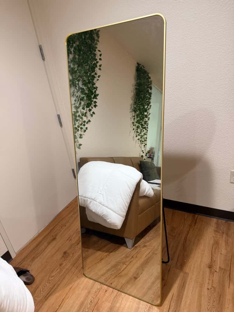 Full-Length Mirror 1